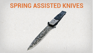 Spring Assisted Knives